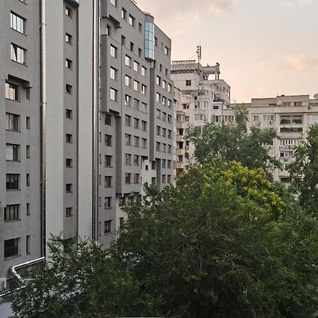 부쿠레슈티 Peaceful Loft 아파트 외부 사진